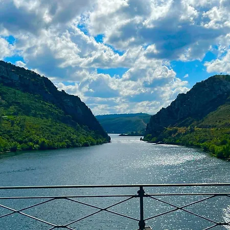 1955 Cebolais de Cima