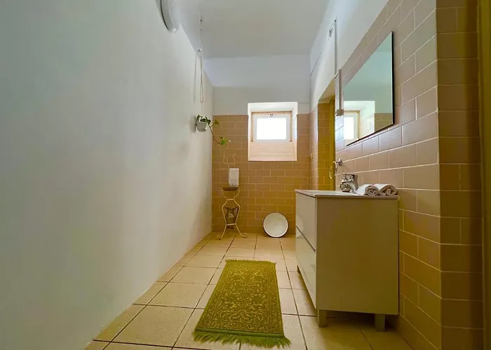 1955 Cebolais de Cima